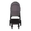 Коляска 2 в 1 Moon Style Anthrazit RU544