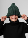 Шапка (Цвет изумрудный, Размер 54-58), 10-348U