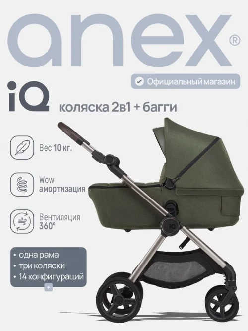 Коляска 2 в 1 Anex iQ Premium (iQ-09) Richi - фото 1