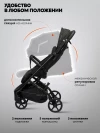 Коляска прогулочная Indigo Mega черный