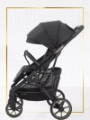 Коляска прогулочная Ining Baby F6 Pro Black