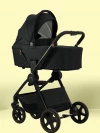 Коляска 2 в 1 Ining Baby 773 F Black