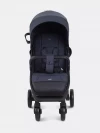 Коляска прогулочная Rant Vega RA105 Graphite