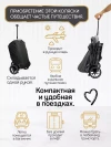 Коляска прогулочная Palankin Teo красный