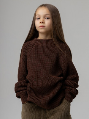 Свитер (Цвет коричневый, Размер 104-110), 27-1MU - фото 1