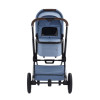 Коляска 2 в 1 Labala Raiz Sky Blue (16SBL) 2025