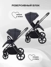 Коляска 2 в 1 Rant Teo RA122 Graphite