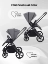 Коляска 2 в 1 Rant Teo RA120 Grey