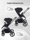 Коляска 2 в 1 Rant Teo RA122 Black