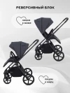 Коляска 2 в 1 Rant Teo RA120 Graphite