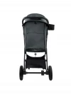 Коляска прогулочная Pituso Camino Graphite