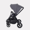 Коляска прогулочная Rant Flex RA078 Graphite