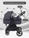 Коляска-трансформер Rant Basic Roller RA161 2 в 1 Grey