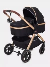 Коляска-трансформер Rant Basic Roller RA161 2 в 1 Gold Black