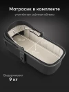 Коляска 2 в 1 Happy Baby Celine Pro black