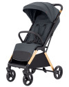 Коляска прогулочная Carrello Cross CRL-5523 Eagle Grey