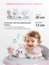 Ходунки Farfello A4 Pink