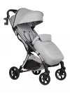 Коляска прогулочная Farfello Sunrise Silver Grey