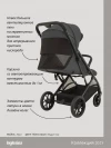 Коляска прогулочная Inglesina Maior 2025 Magnet grey