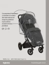 Коляска прогулочная Inglesina Maior 2025 Magnet grey
