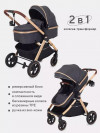Коляска-трансформер Rant Basic Roller RA161 2 в 1 Gold Grey