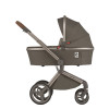 Коляска 2 в 1 Anex Flo 2in1 (SE-01) Cesar